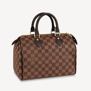 Louis Vuitton Speedy 25